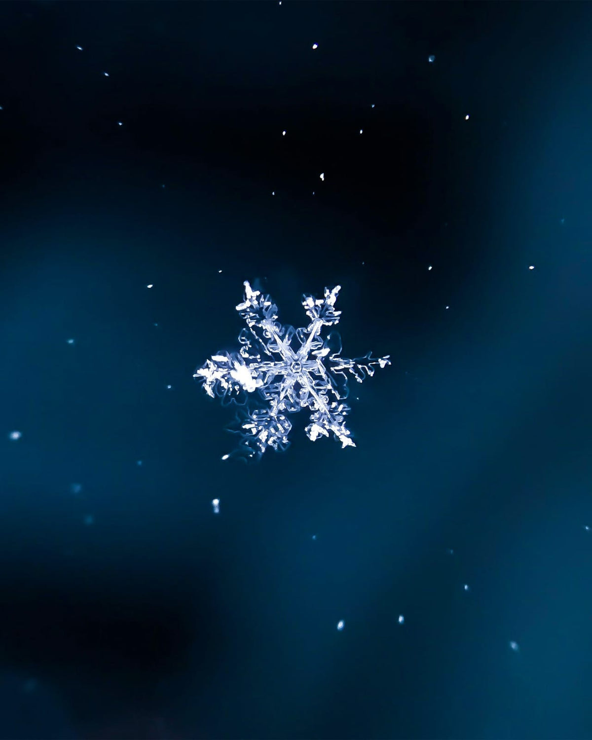 A white snowflake against a dark background.