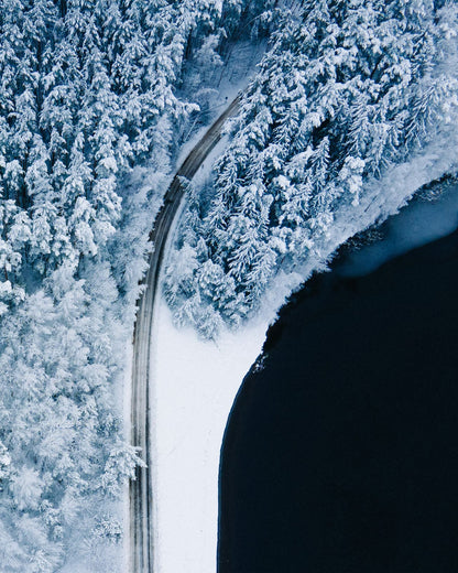 A road through a snow-covered forest.
