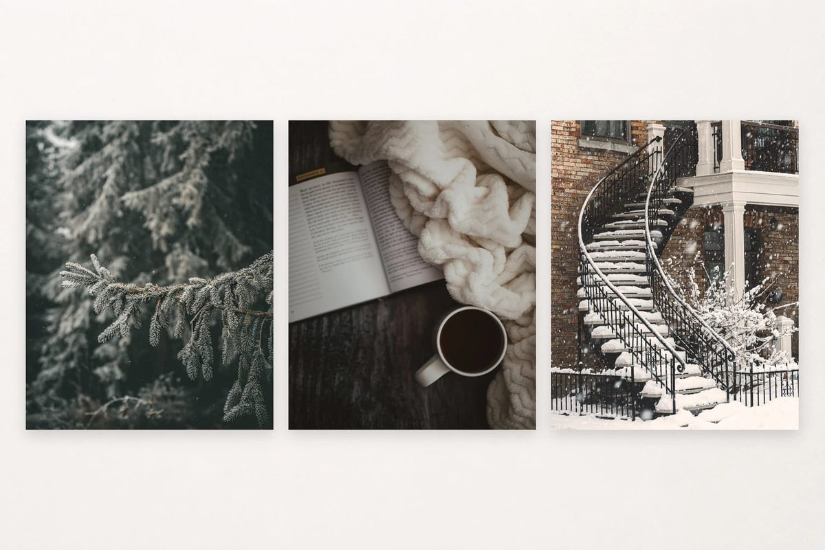 Frosted evergreen, open book still life, and snowy outdoor steps.