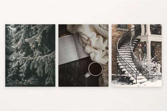 Frosted evergreen, open book still life, and snowy outdoor steps.