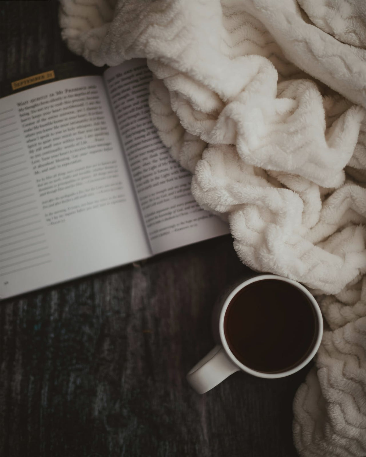 An open book with a blanket and cup.