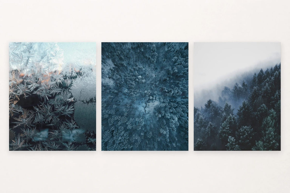 Frosted glass, snowy forest canopy, and dark firs in mist.