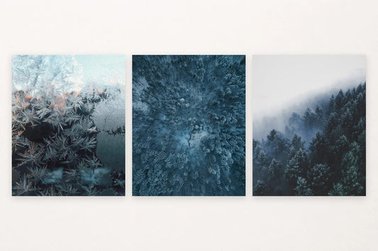 Frosted glass, snowy forest canopy, and dark firs in mist.