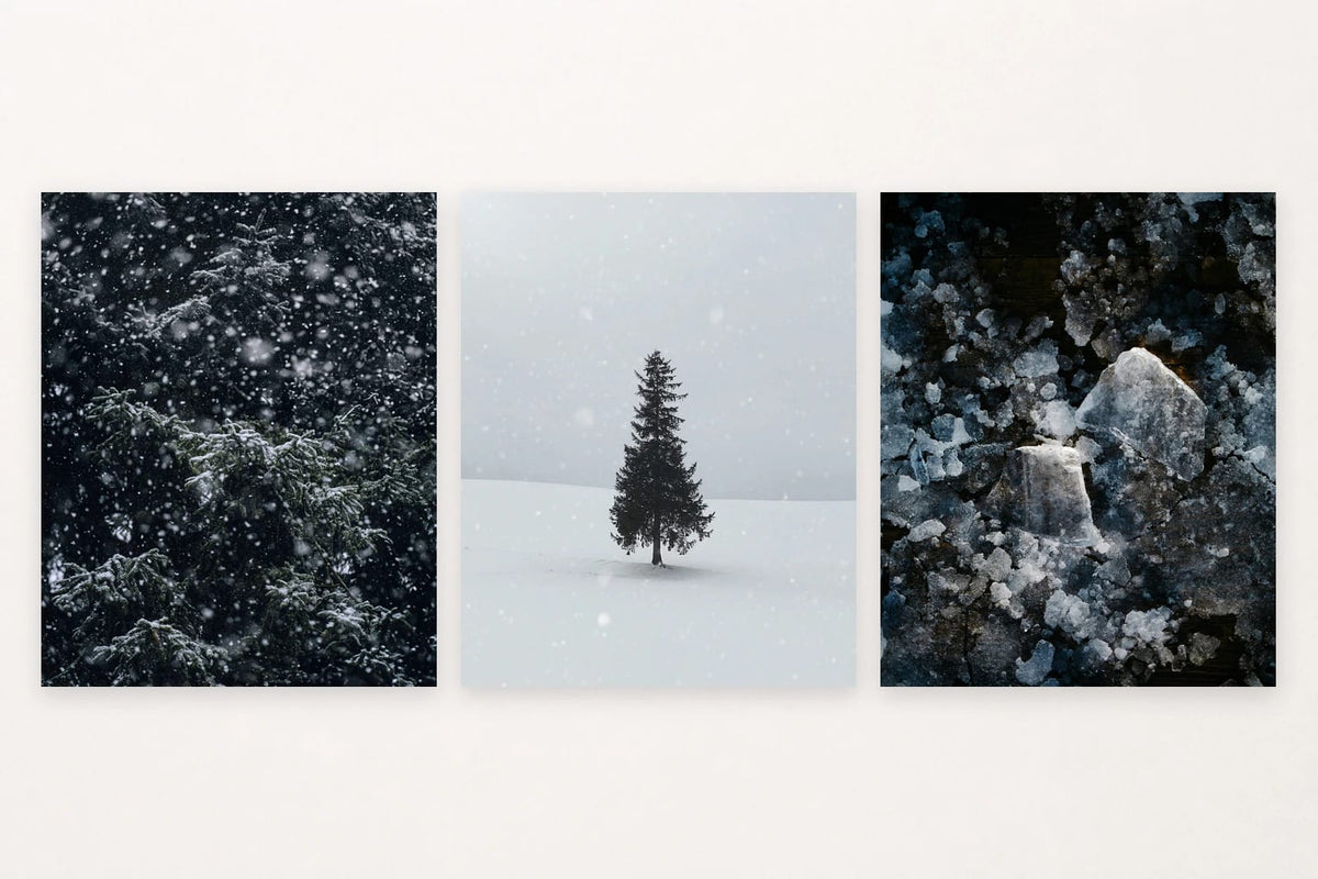 Snowy fir branches, a lone tree in snow, and dark-backed ice floes.