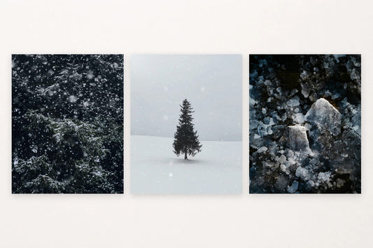 Snowy fir branches, a lone tree in snow, and dark-backed ice floes.