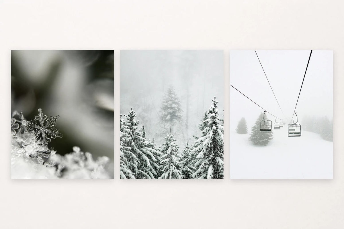 Snowflake, foggy fir forest, and chairlift seats above a snowy slope.