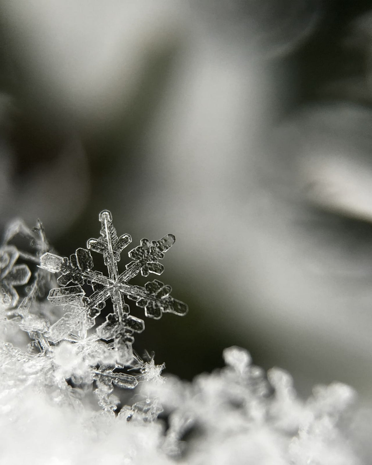 A large snowflake on a light background.