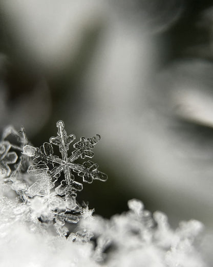 A large snowflake on a light background.