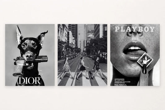 Three monochrome editorial scenes show a dog with DIOR lettering, women on a city street, and PLAYBOY text.