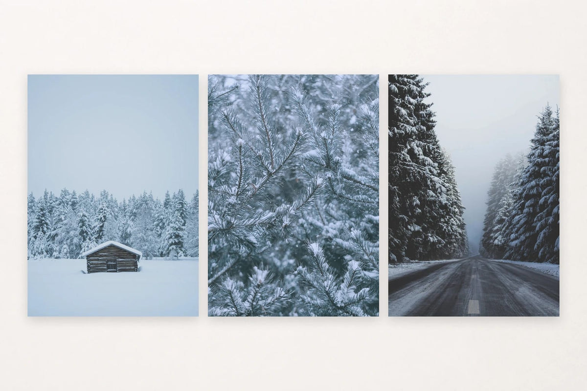 A forest cabin, falling snow on a branch, and a snowy road make a quiet winter sequence.