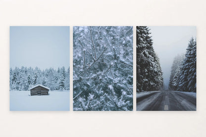 A forest cabin, falling snow on a branch, and a snowy road make a quiet winter sequence.