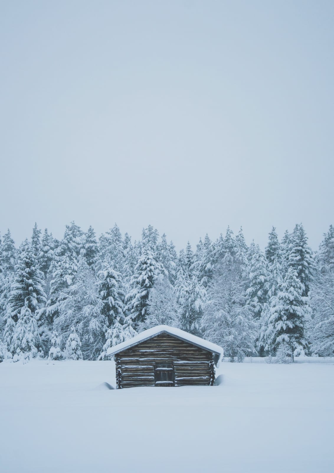 A snow-covered wooden cabin sits beneath a pale sky among trees.