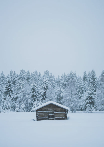 A snow-covered wooden cabin sits beneath a pale sky among trees.