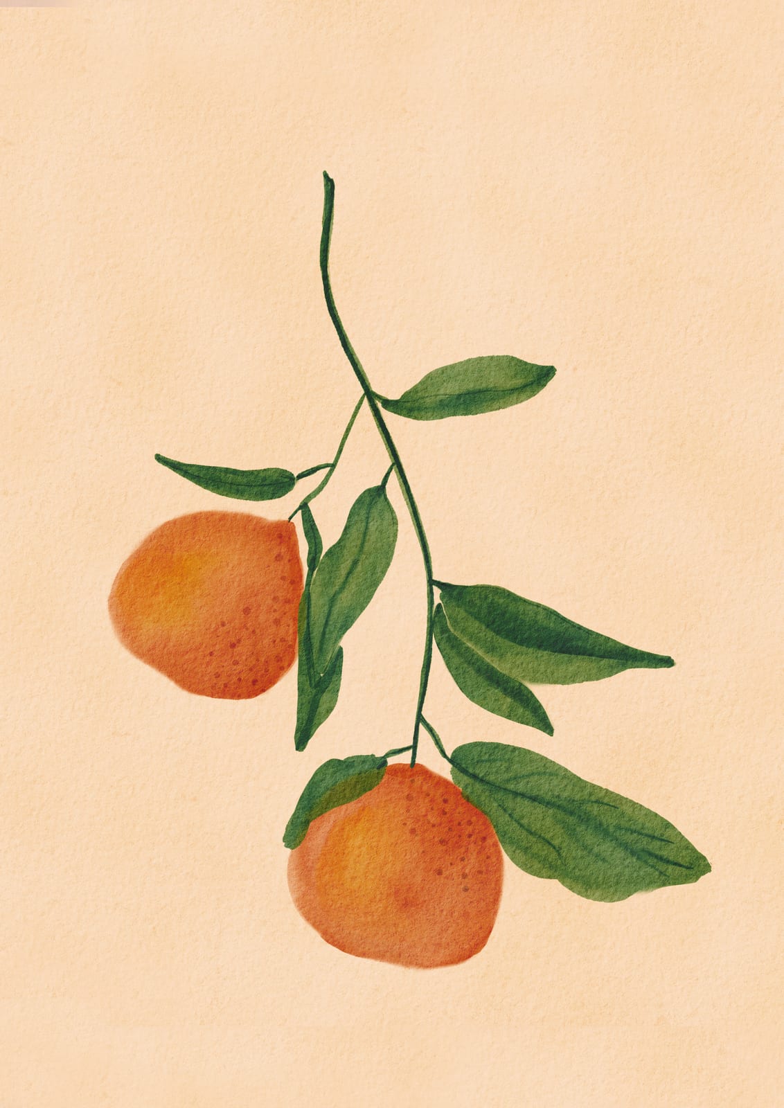 Two oranges hang from a green branch.