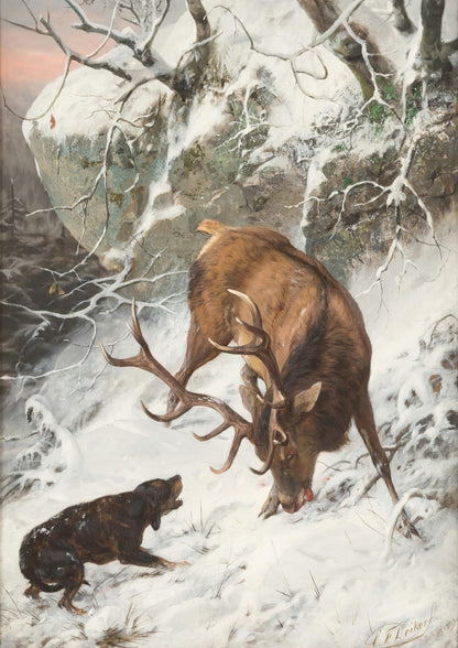 A stag with branching antlers stands in snow.