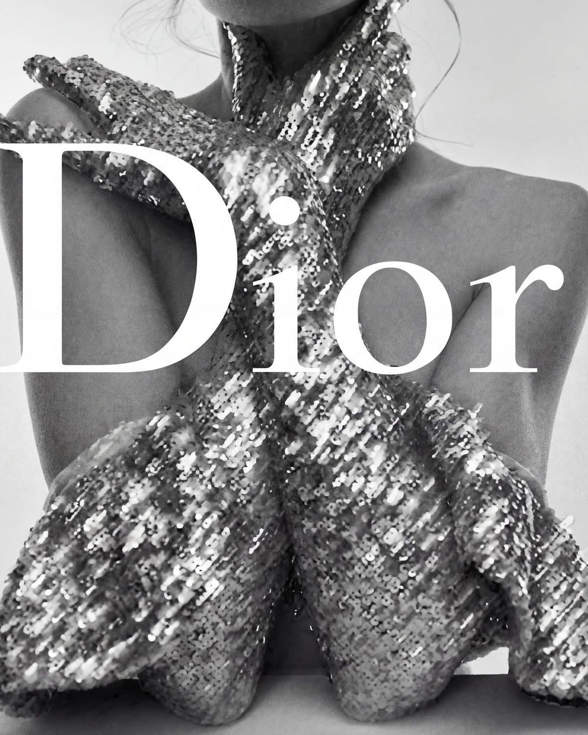 A glitter dress beneath DIOR lettering.