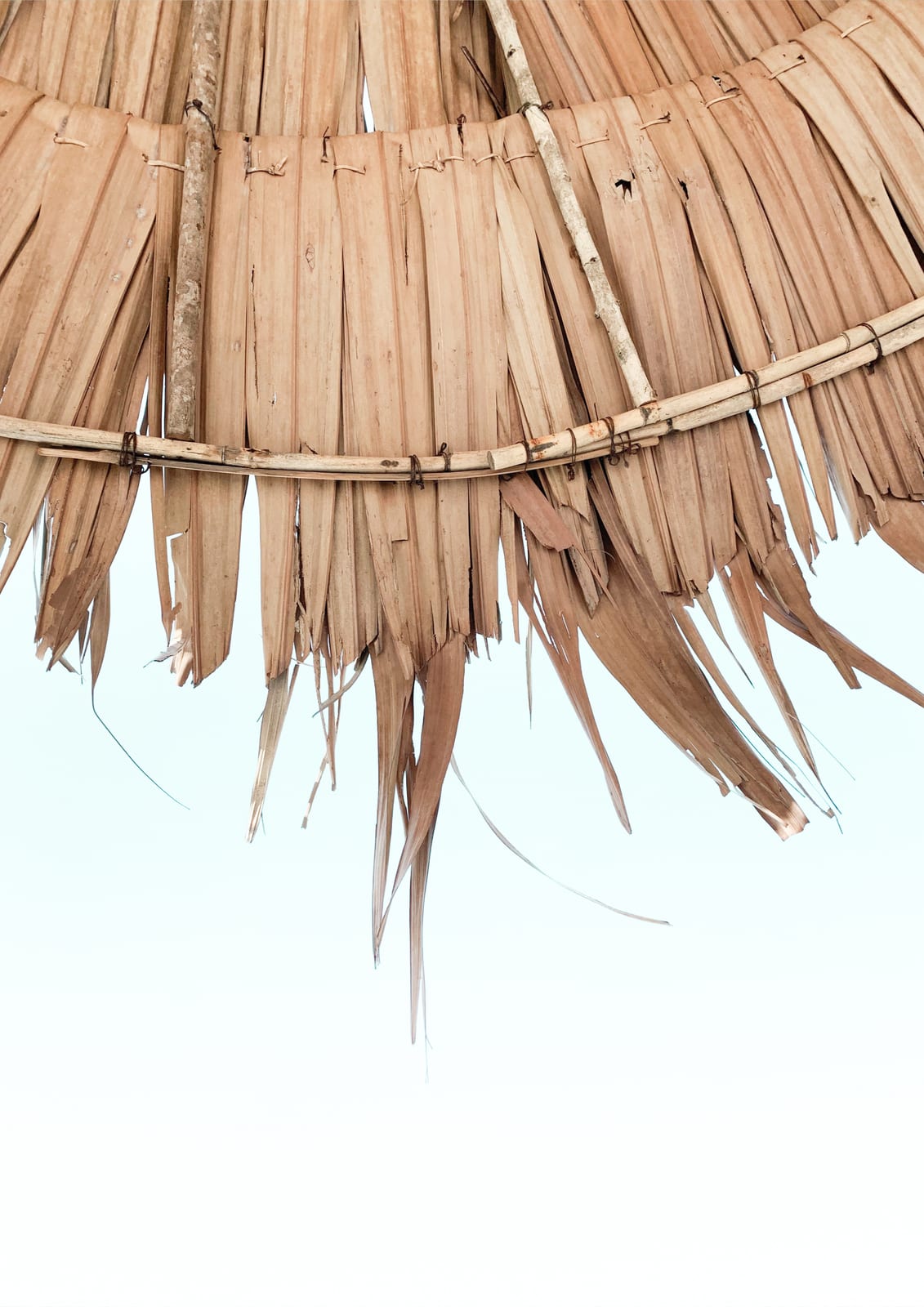 close detail of a thatched roof.