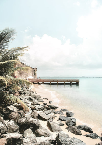 shoreline and pier.