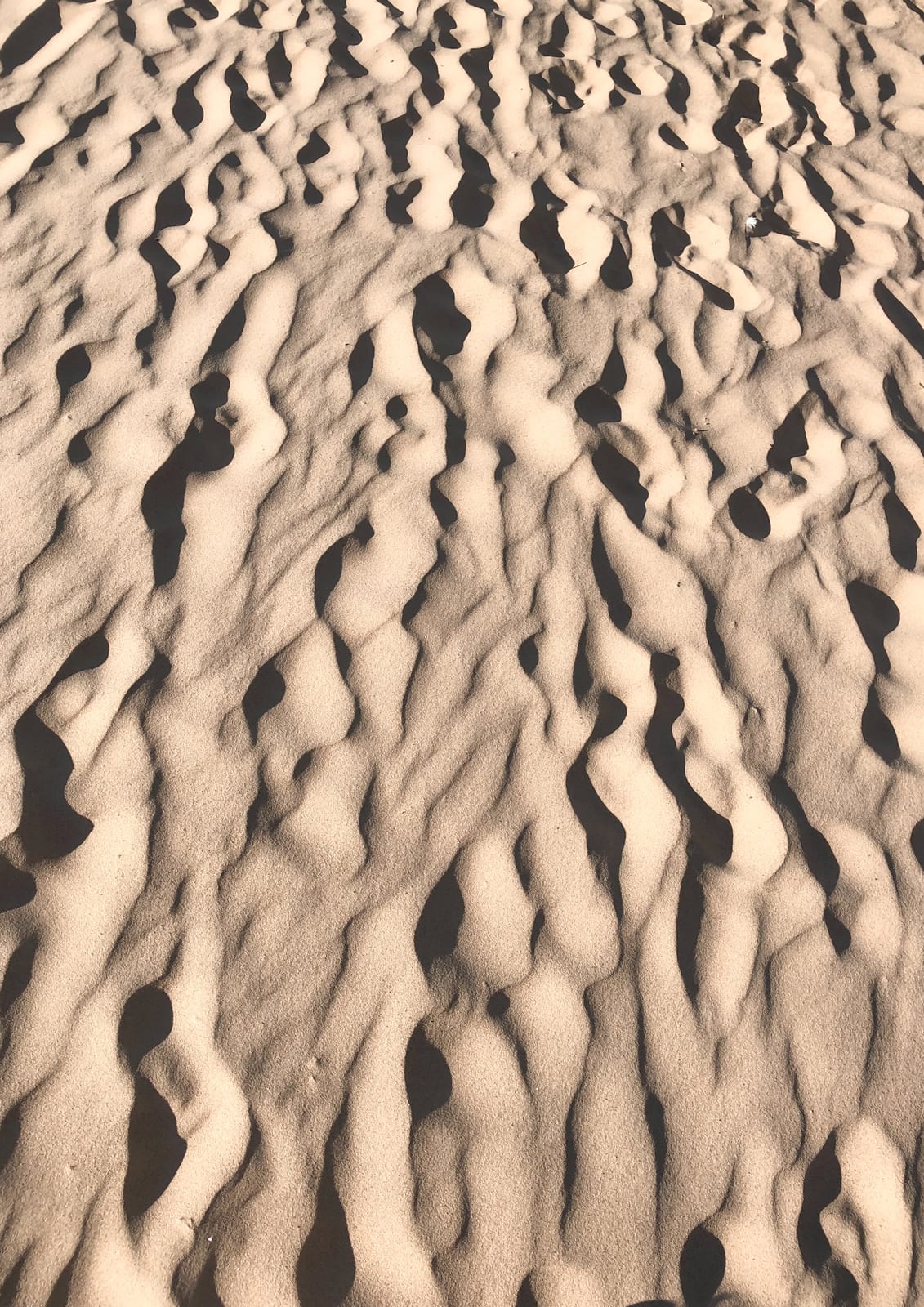 ripples in sand.